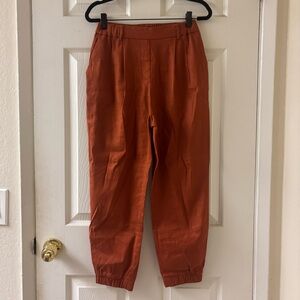 Express Linen Blend Burnt Orange Joggers